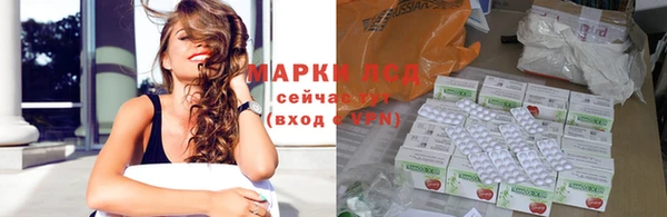 спиды Пересвет