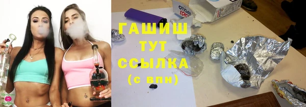 спиды Пересвет