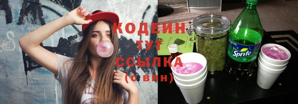 спиды Пересвет